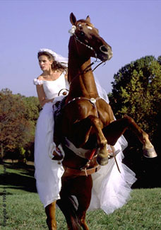 Runaway Bride