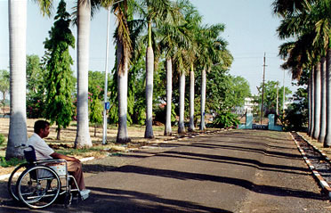 Will they have to go? If so, where?